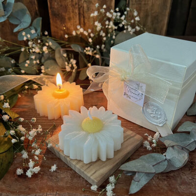 Candela Margot in cera di soia – Bomboniera margherita matrimonio