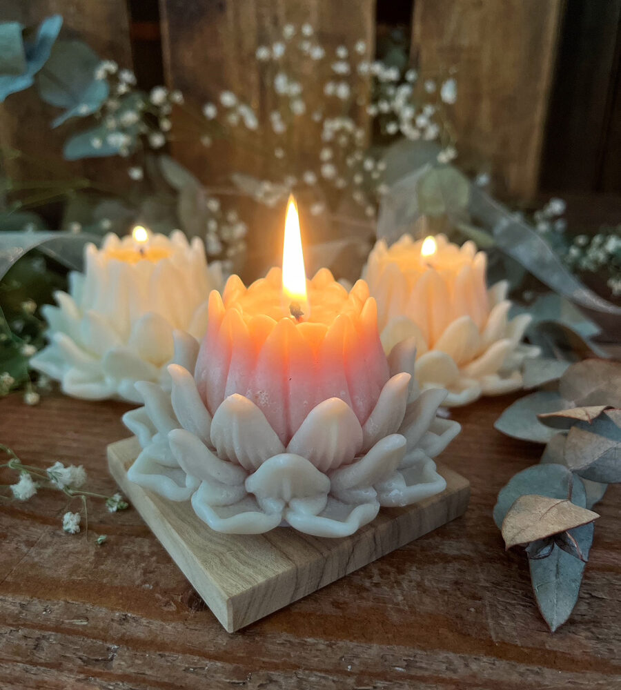 Candela Profumata In Cera Di Soia 255g - Stile Vintage Con Note Di Rosa, Vaniglia, Peonia E Fico Verde - Confezione Regalo